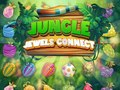 Jwèt Koneksyon Juwel Jang la sou entènèt