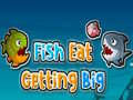 Jwèt Poisson manje e ap grandi sou entènèt