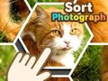 Jwèt Triage Foto sou entènèt