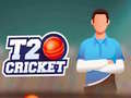 Jwèt T20 Krikèt sou entènèt