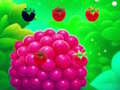 Jwèt Bèf Raspberry sou entènèt