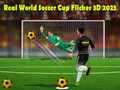 Jwèt Vra Domen Mondyal Foutbòl Flicker 3D 2023 sou entènèt