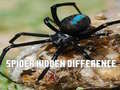 Jwèt Pandan: Jwenn diferans yo sou entènèt