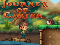 Jwèt Vwayaj Carter sou entènèt