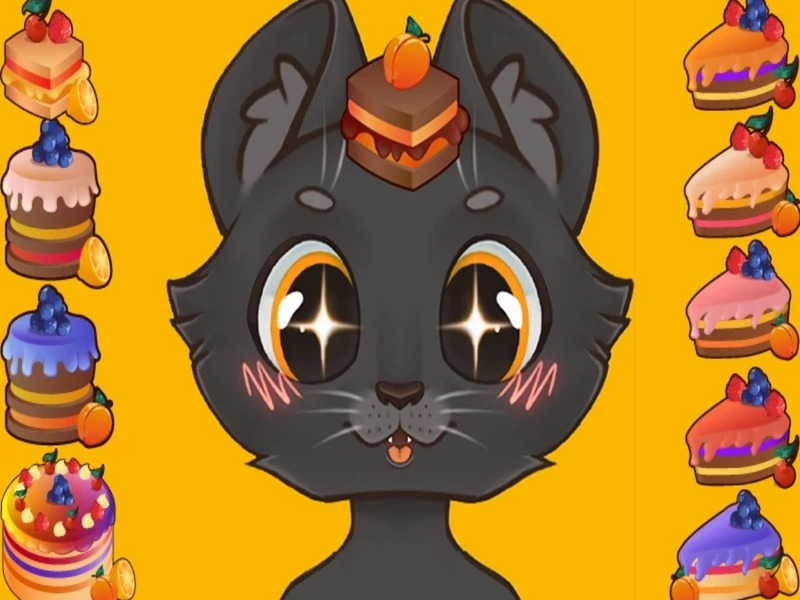 Jwèt Biznis dous nan chat: gato sou entènèt