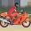 Kous motosiklèt Kous motosiklèt sou entènèt