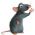 Ratatouy Ratatouy sou entènèt
