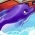 Dolphin  sou entènèt